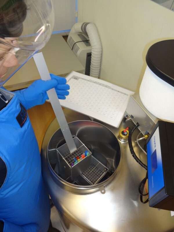 lifting box and straws with rod